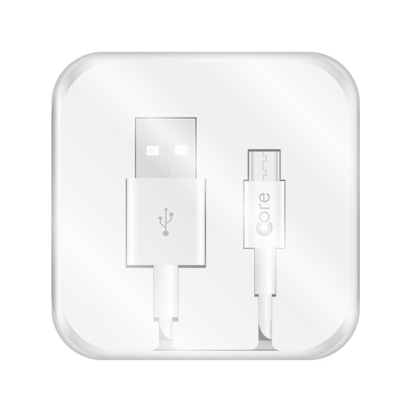 Type-C Cable in Case 1M White Fast Charge